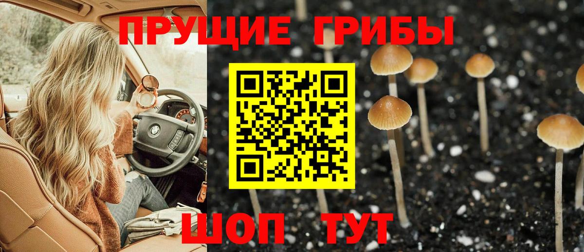 Псилоцибиновые грибы Cubensis Лыткарино
