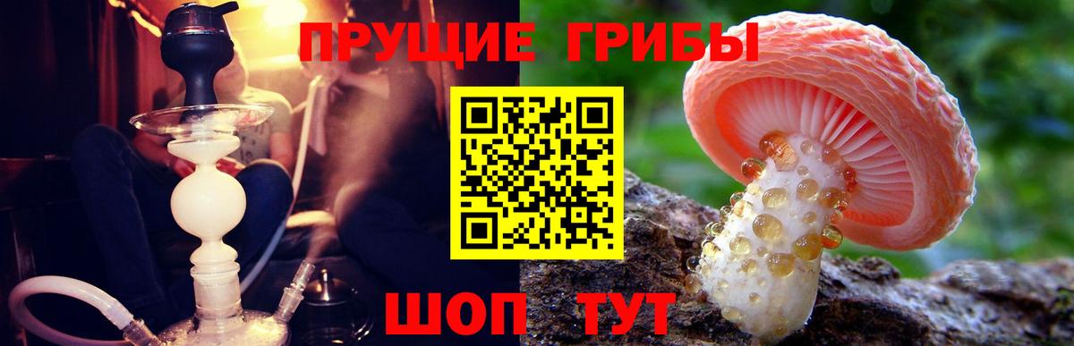 Лыткарино  Галлюциногенные грибы Cubensis  Вход с VPN 